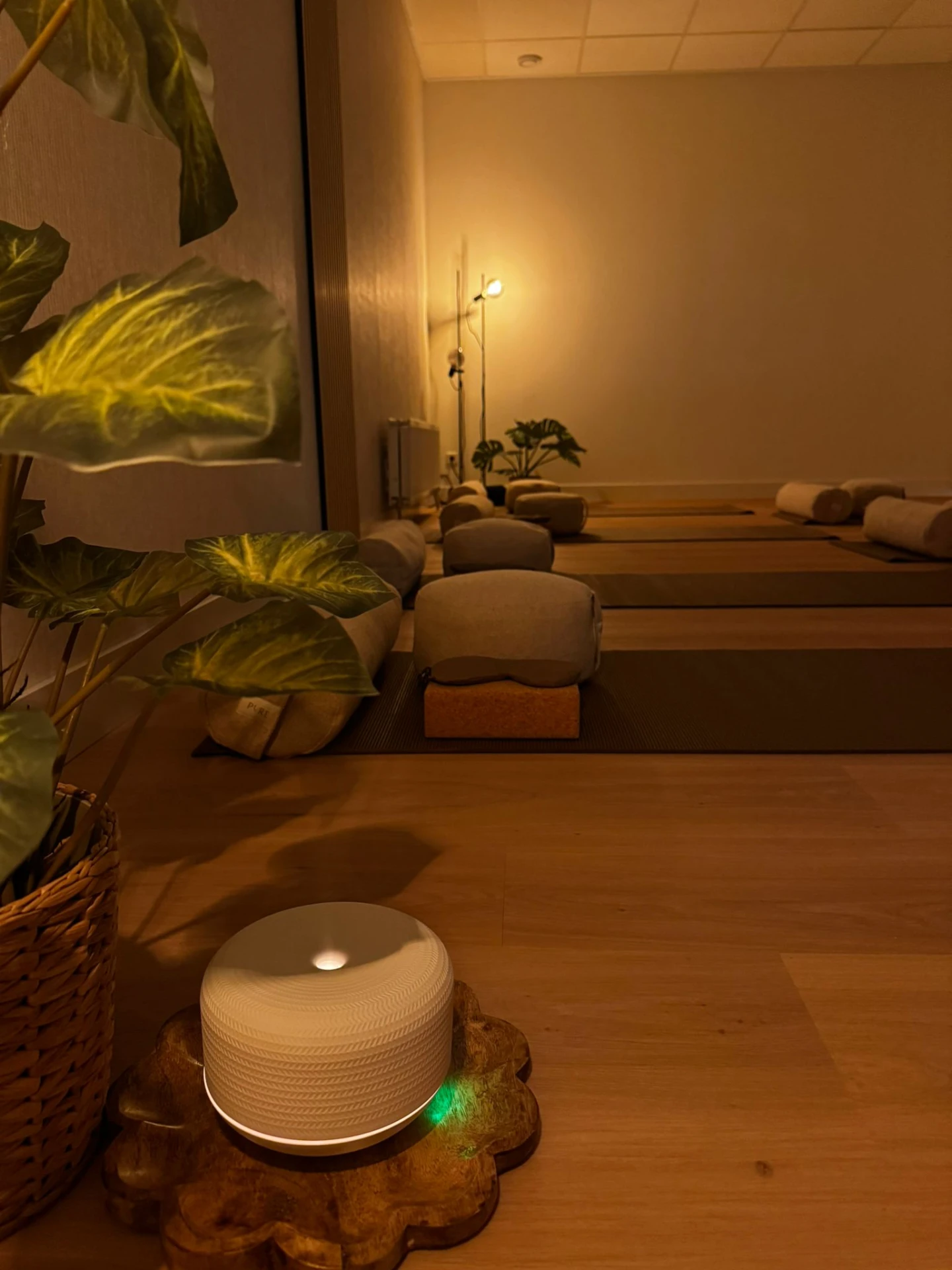 Sfeerbeeld van de studio met warm licht en aroma-diffuser
