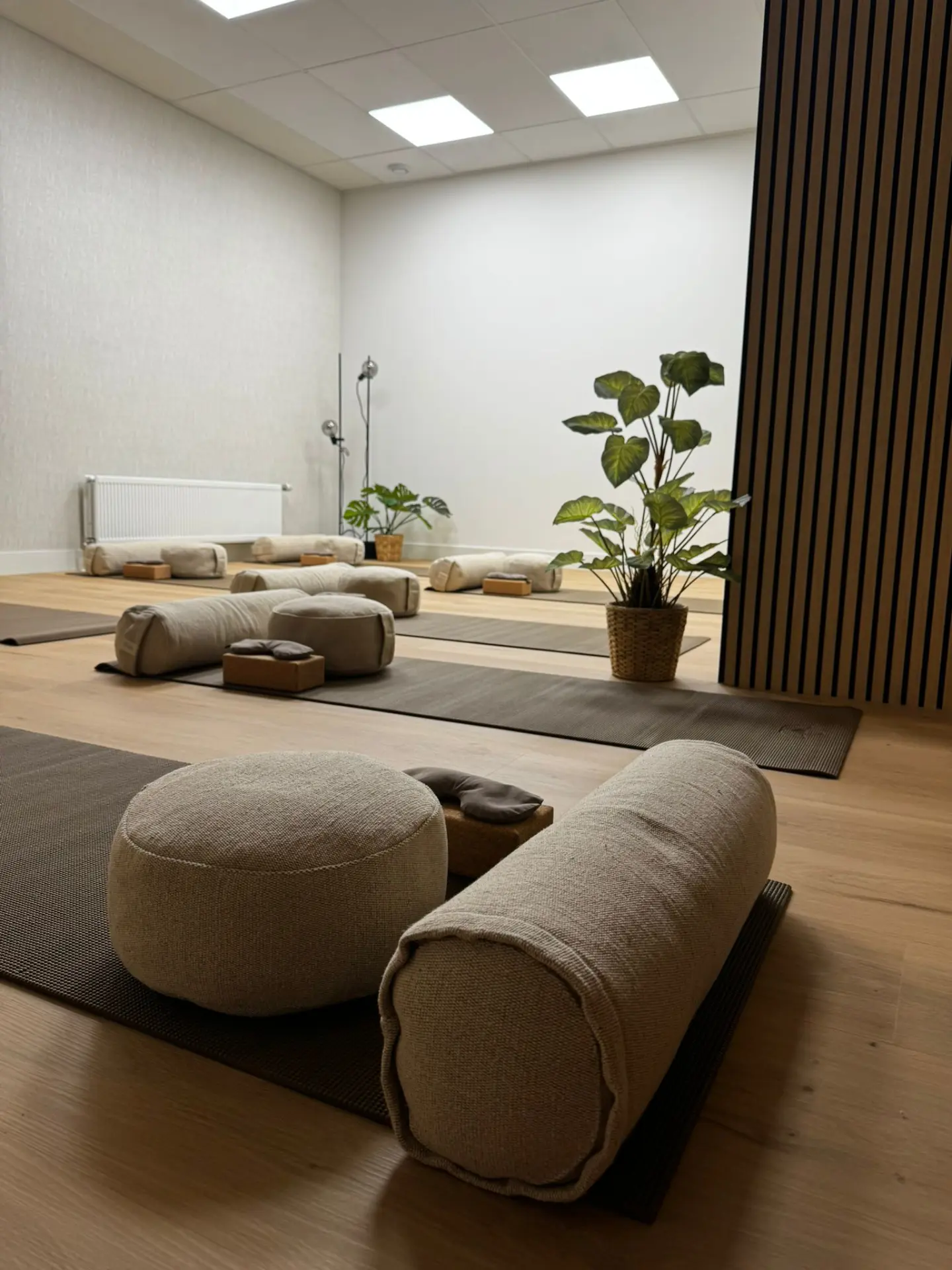 De yogazaal met matten, bolsters en meditatiekussens